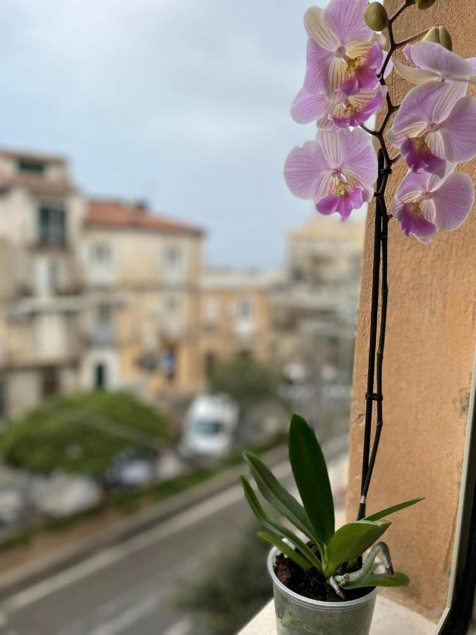 Don Ugo Luxury Rooms トロペーア エクステリア 写真